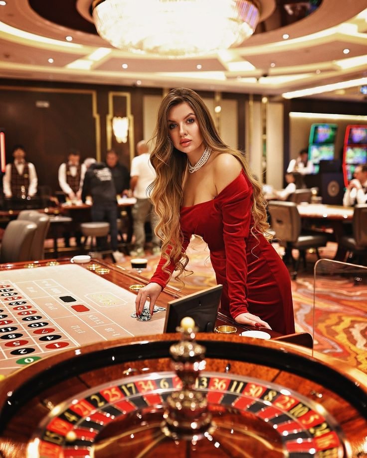 koy800 bingo 75 bola varian Amerika permainan kartu
